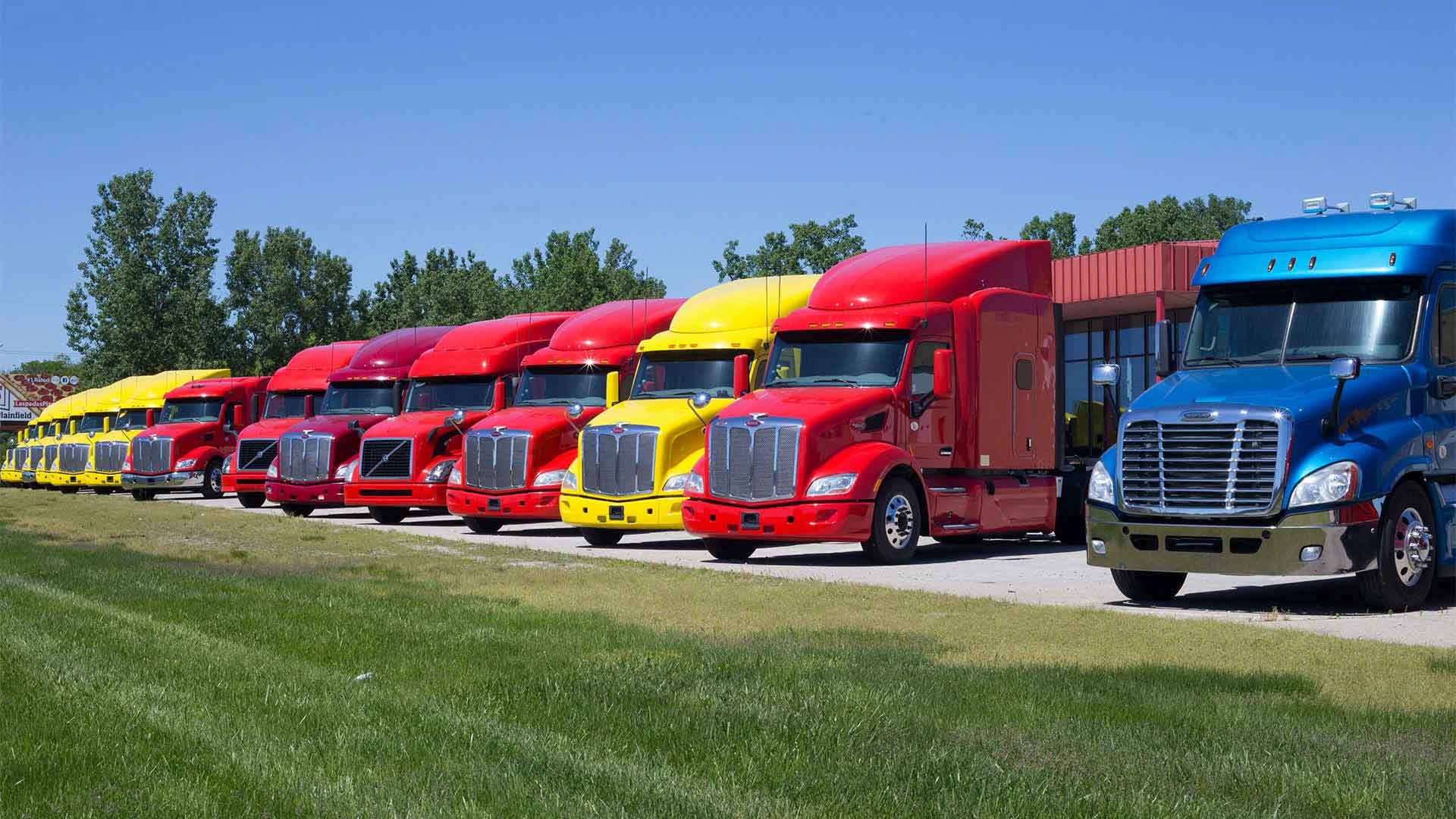 Professional Moving Services